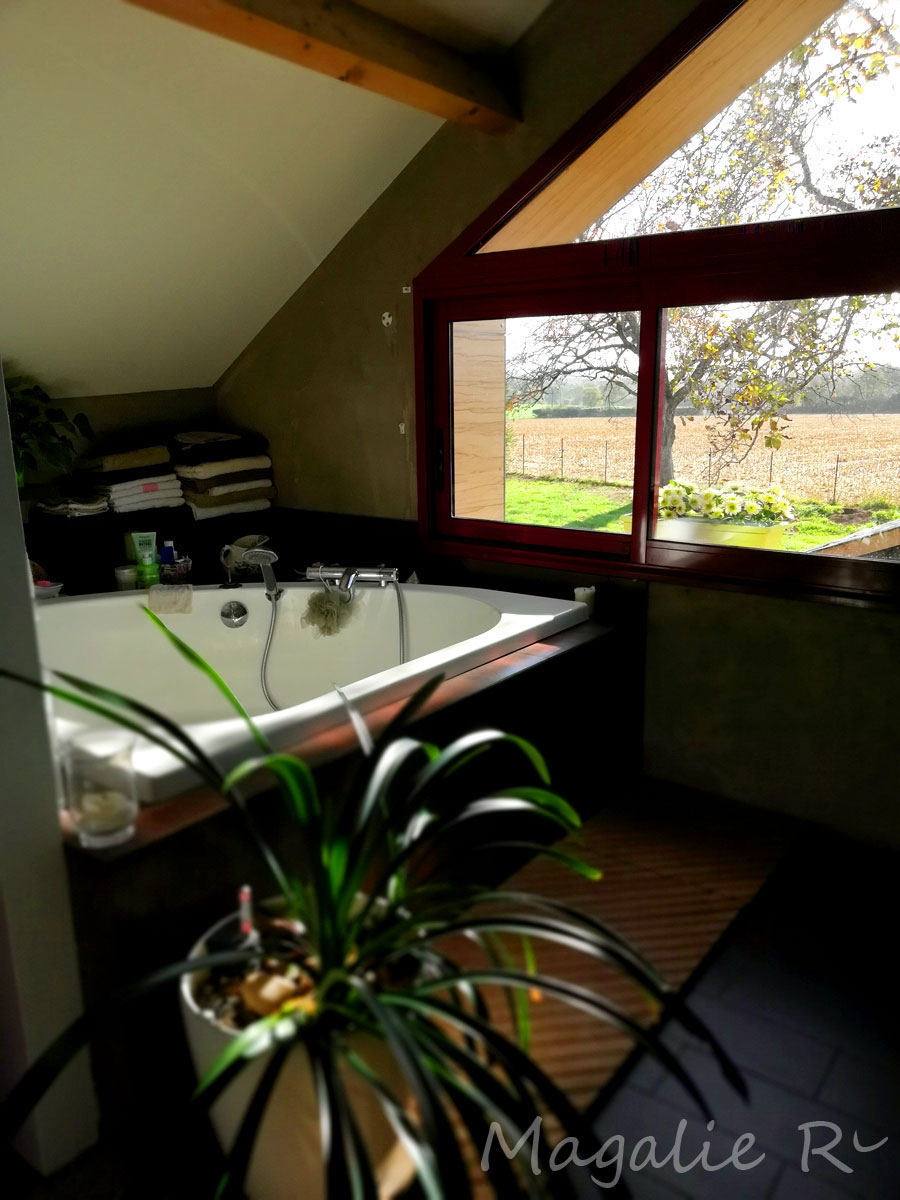 Fabriqemoi-salle-de-bain-avec-vue-deco Intérieur salle de bain déco de chez FabriQémoi