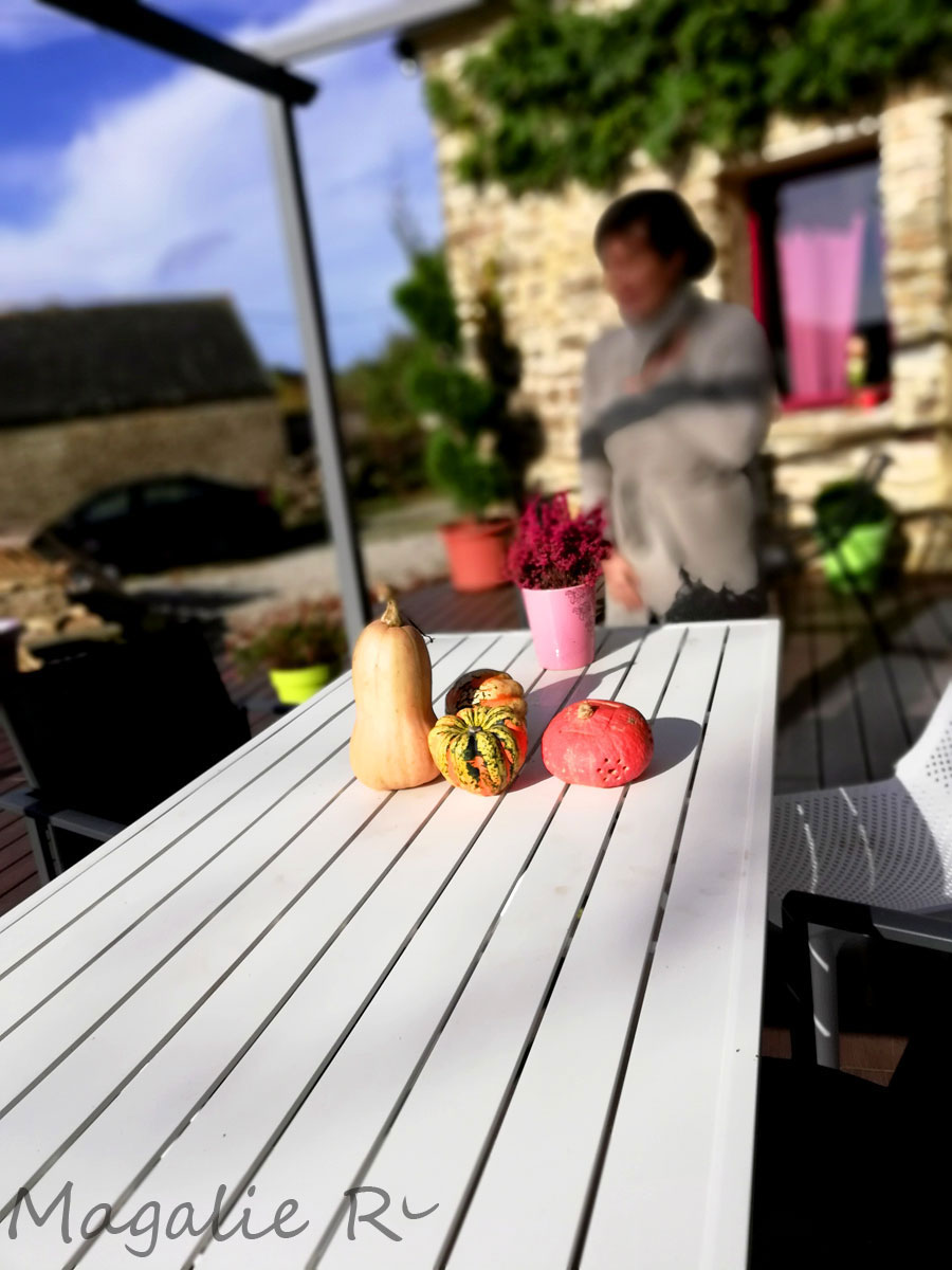 Fabriqemoi-terrasse-exterieur Intérieur et terrasse de chez FabriQémoi