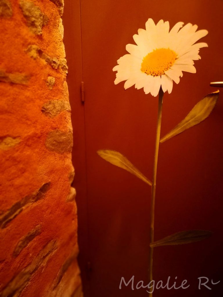 Fabriqemoi-toilettes-fleur-deco Fabriqemoi-toilettes-fleur-deco